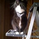 Barry Pulliam - @BearMusicMan - Twitter