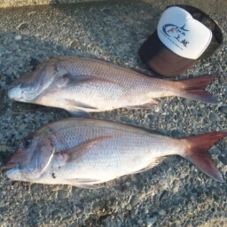 mastermodel4444's profile picture. いいねー海は❗山は大好きです(^O^)