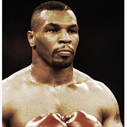 Boxing Fan.