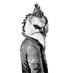 jose luis martin (@clothnail) Twitter profile photo jose luis martin (@clothnail) Twitter profile photo