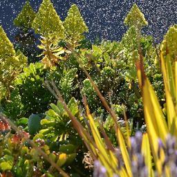 achraf_kamal's profile picture. 