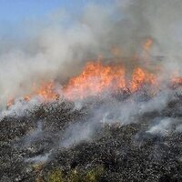 Knowledge for Wildfire (@kfwf_manchester) 's Twitter Profile