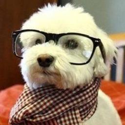 yecheve's profile picture. Desarrollador iOS.