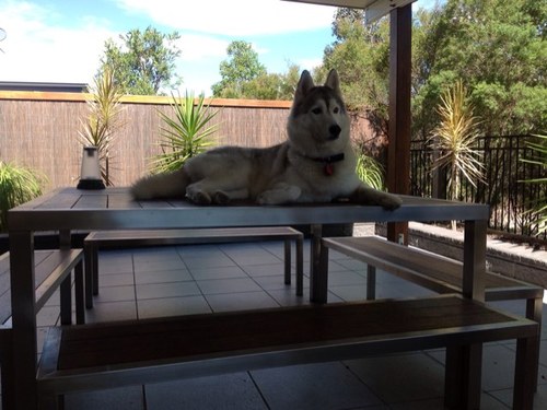 AndyWaugh77's profile picture. 