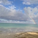 heidi newman - @hnewman68 - Twitter