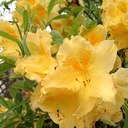 Gail Wright Morris - @gmo4real - Twitter