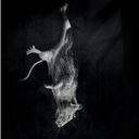 Hope Light & Nowhere - @HLNThePlay - Twitter