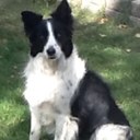 becky langley - @beckpadg - Twitter