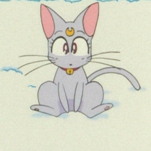 penumbraharry's profile picture. 