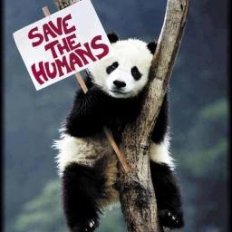 save_da_music's profile picture. Save the music.. Save the humans :)