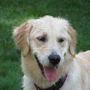 Tim Bliss - @Maevis3 - Twitter