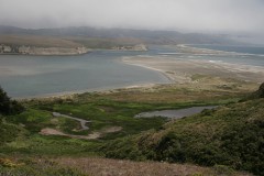 Working to save the Point Reyes Wilderness and protect the Drakes Estero from the Drakes Bay Oyster Company's pollution