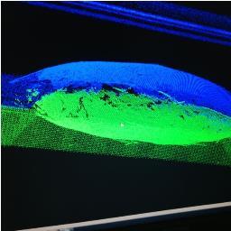 inakiminino's profile picture. Yo bien gracias... ¿Y tu como estás?