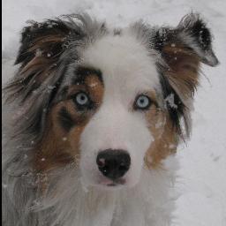 kltechsolutions's profile picture. Let us be your Project Outsource Partner