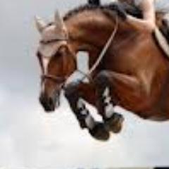 ACiruitProblems's profile picture. The problems we encounter on the show circuit.