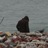 deepmadder's profile image