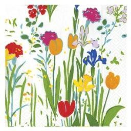 OyezFoyer's profile picture. 