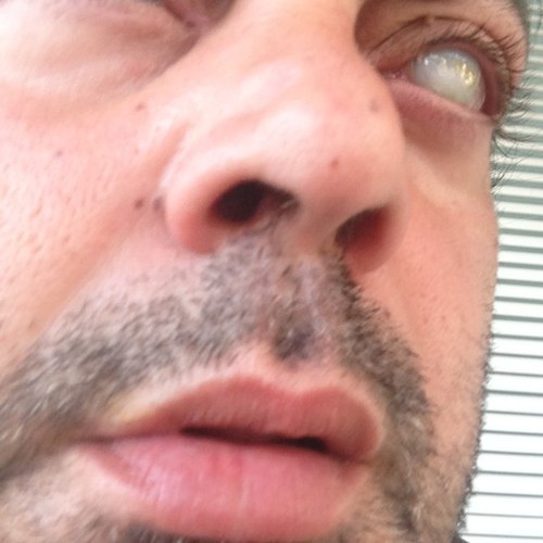casado, tengo 44 años y trabajo en once me gustan los animales