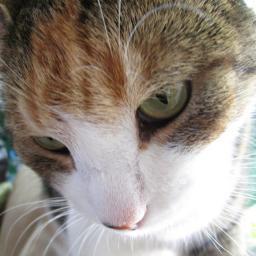 Darwin2211's profile picture. 