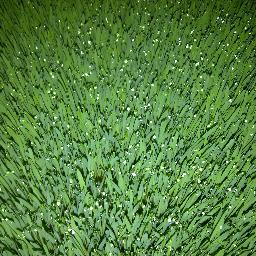 TToerien's profile picture. Worldwide banks and governments foreclosed. It is a verifiable fact and a massive paradigm shift every bit as great as being told the world was no longer flat