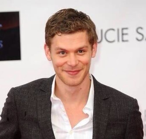 KingOfHybrids's profile picture. 