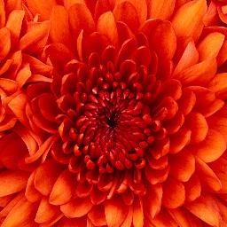 NeelooNet's profile picture. Premium connection platform that unites innovative professional services & start-ups / social businesses, 3000 hits on pitch deck in 2 weeks. PRE-LAUNCH PHASE.