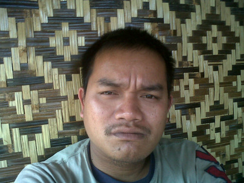 BdmnMauln :*