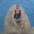 FranoelCasares's profile image