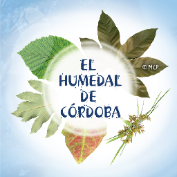 NodoHC's profile picture. 