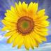 Music Gatehouse (@gatehousemusic) Twitter profile photo