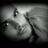 RodolfoDenis's profile image