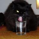 Jason Bachman - @thebach1984 - Twitter