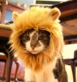 leventhall's profile picture. Dad, husband, teacher, FCCT, #ourNCEjourney, HoD, DDSL #optimist #AvidReader