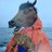 craig_mcphedran's profile image