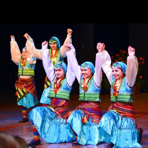 We are the largest running multicultural festival in Minnesota.