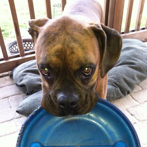 Rusty_Harmon's profile picture. 