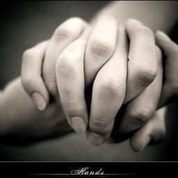 juney9800's profile picture. NY Yankee fan for life. #savetheanimals #adoptdontshop