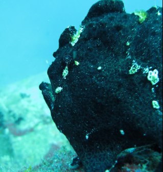 kevinswindin's profile picture. 