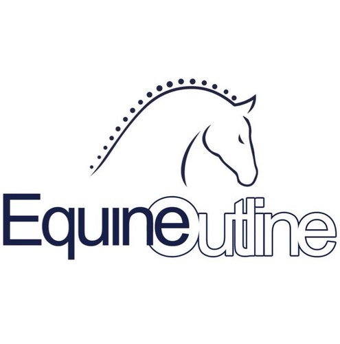 EquineOutline's profile picture. Fully Qualified Equine Spinal Therapy & Sports Massage Consultants - Mary Pidcock & Claire Jones. No need to box your horse up - we'll come to you!