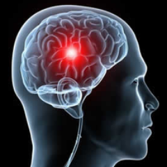 Racionalita's profile picture. Co lze tvrdit bez důkazu, může být bez důkazu zamítnuto. racionalita - skepticismus - ateismus