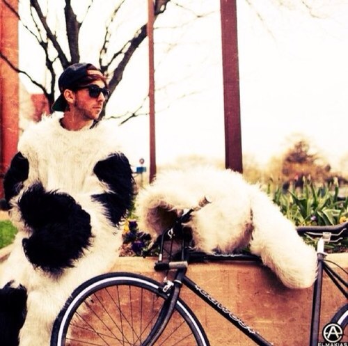 AIexAllTimcLow's profile picture. Approximately 10 minutes late to everything. 2813. {Fake}