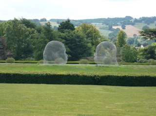 squarkim's profile picture. 