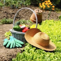 En pleine nature.
Proche de Grenoble.
Des jardins bio.
Des pratiques bien-être.