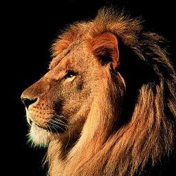 Você sabe como ganhar os pequenos prêmios da loteria? 20, 30, 50 reais. E depois multiplicar! Garanto que da um boa grana. 
http://t.co/mLOPP1FgSc