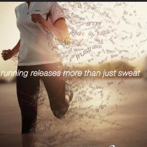 RunningProgress's profile picture. Senior, just trying to reach my goal. Running & clean eating=key. Height: 5'10. SW:170 CW:162 GW:145. I may get a little lost along the way