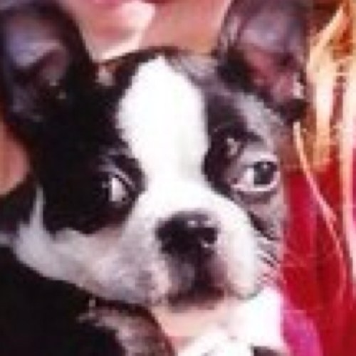 scathee__'s profile picture. bad twitch streamer 
https://t.co/RAxHygxYpQ