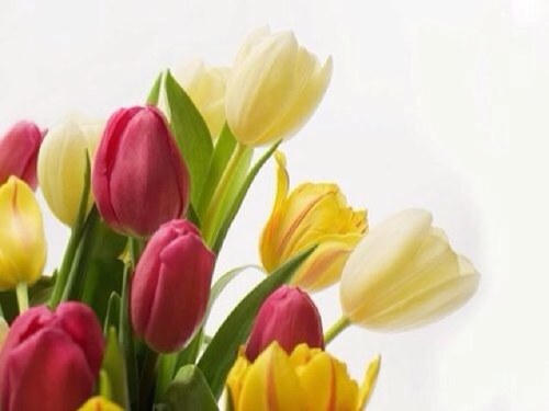 لا إله الا الله ... 🌸