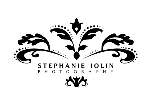 Wedding and portrait photographer in Northern Wisconsin and beyond...