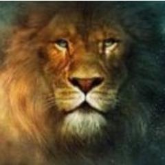 gustavomoura748's profile picture. Você sabe como ganhar os pequenos prêmios da loteria? 20, 30, 50 reais. E depois multiplicar! Garanto que da um boa grana. 
http://t.co/qhrnBUpmqP