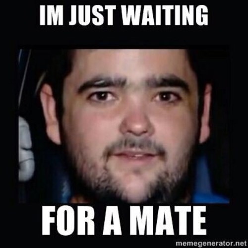 _The_Boss_1's profile picture. Just waiting for a mate........ Follow and ill follow back